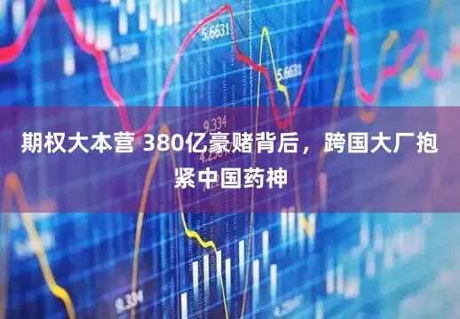 期权大本营 380亿豪赌背后，跨国大厂抱紧中国药神